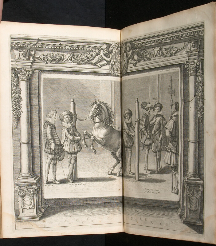 Illustration In The Book L Instruction Du Roy En L Exercice De