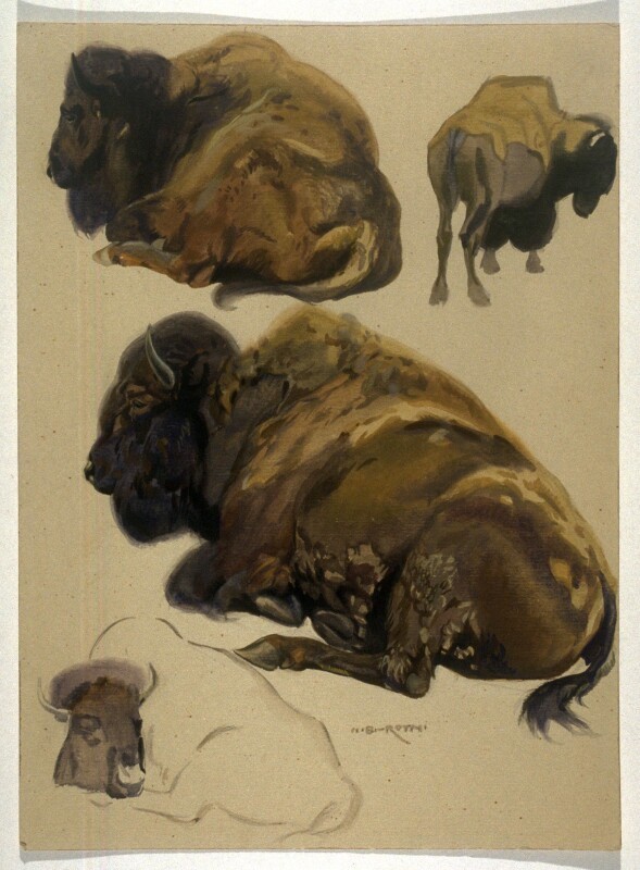case studies buffalo