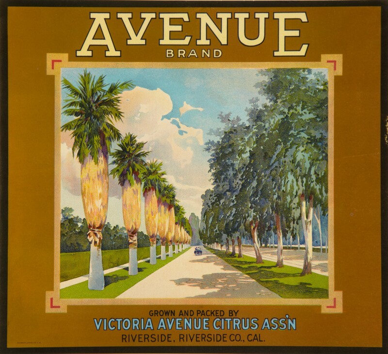 Avenue Brand