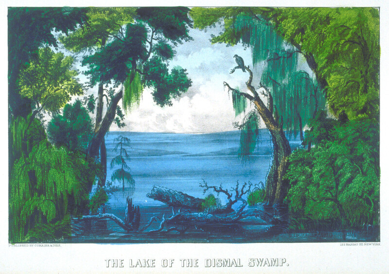 the lake of the dismal swamp meaning